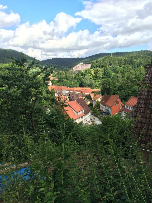 Ferienwohnung Zur Alten Post Bad Grund Kültér fotó