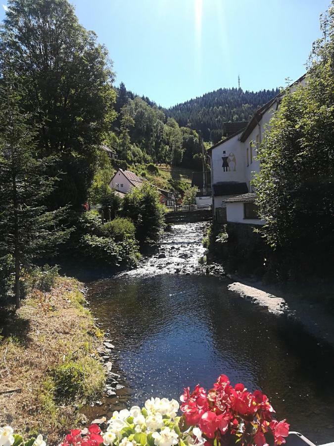 Ferienwohnung Zur Alten Post Bad Grund Kültér fotó