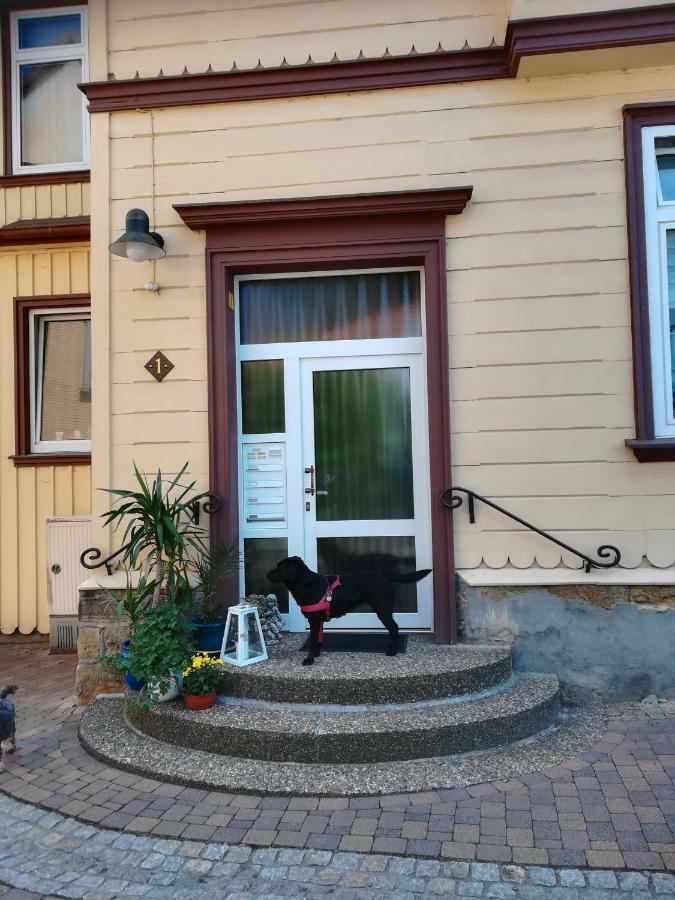 Ferienwohnung Zur Alten Post Bad Grund Kültér fotó